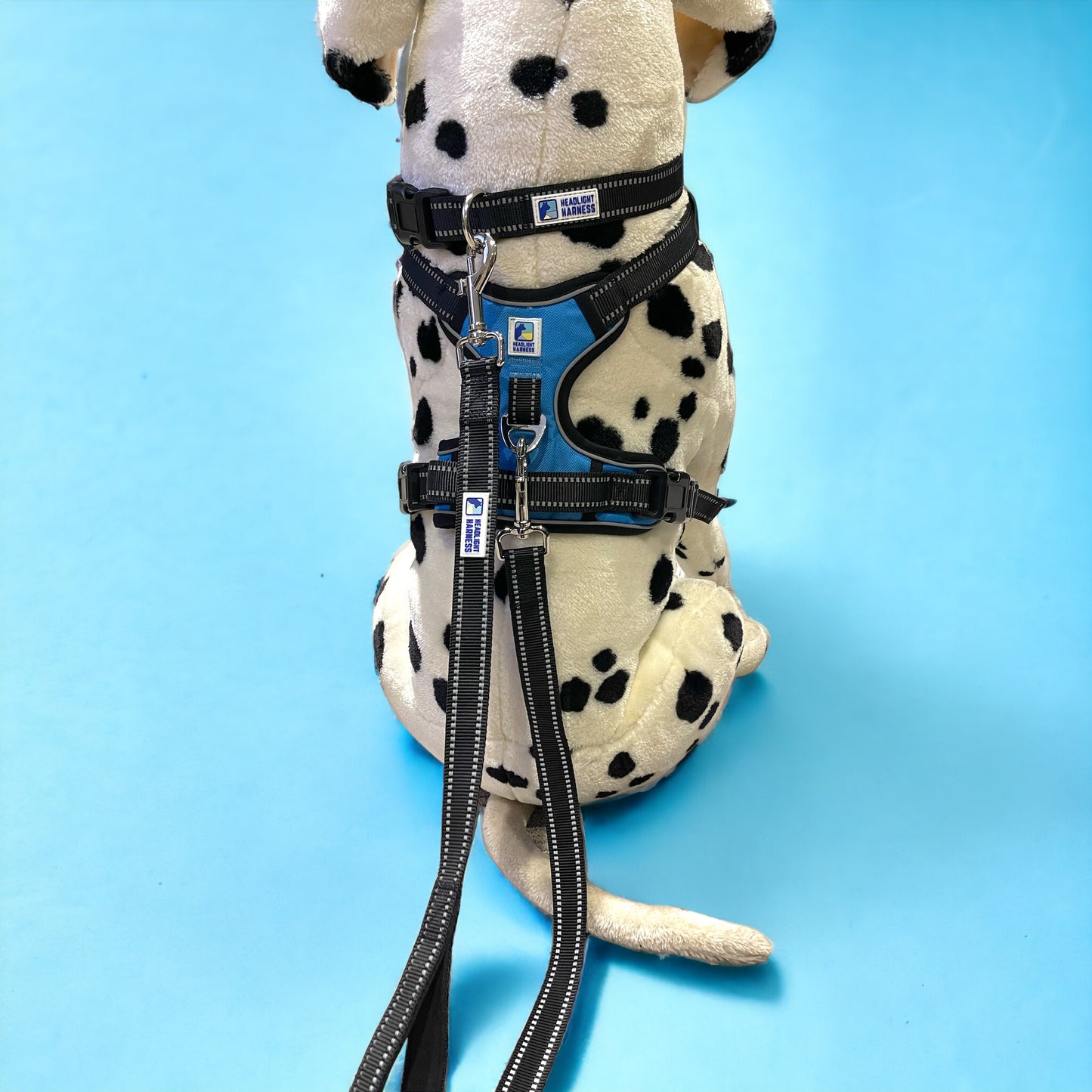 Headlight Harness 2 Dog Reflective Double Dog Leash