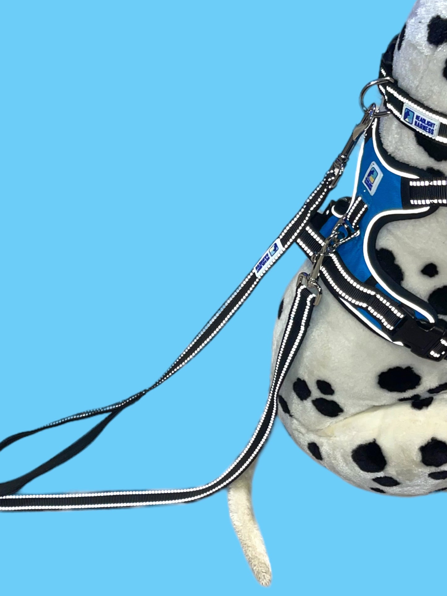 Headlight Harness 2 Dog Reflective Double Dog Leash