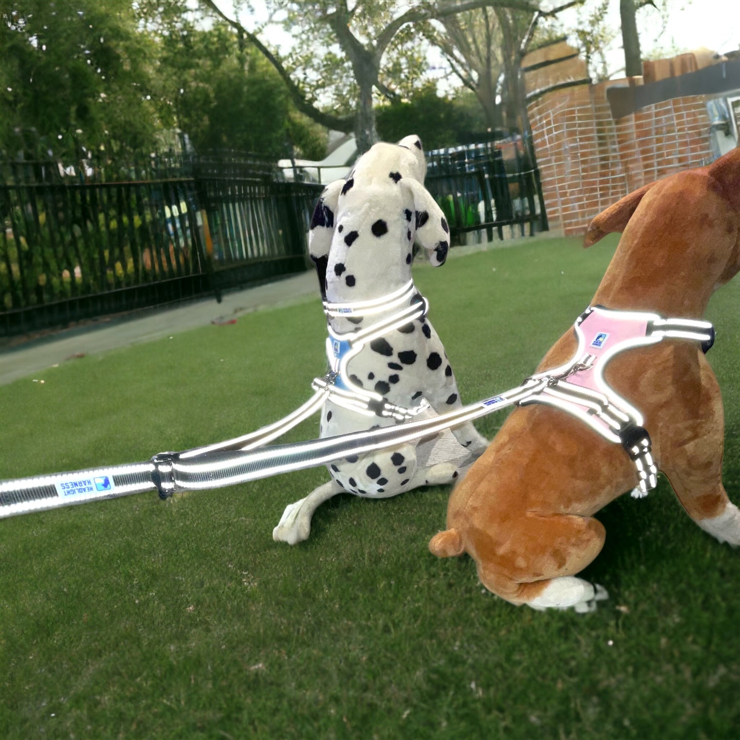 Headlight Harness 2 Dog Reflective Double Dog Leash