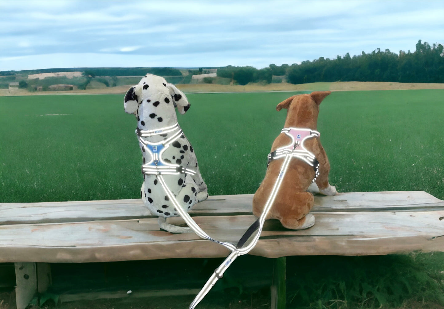 Headlight Harness 2 Dog Reflective Double Dog Leash