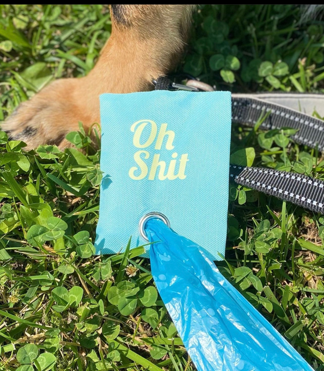 "Oh Shit” Poop Bag Holder and Poop Bags, Waste Dispenser