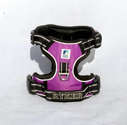 Headlight Harness Purple with Custom Embroidery