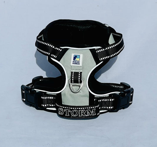 Headlight Harness Grey with Custom Embroidery