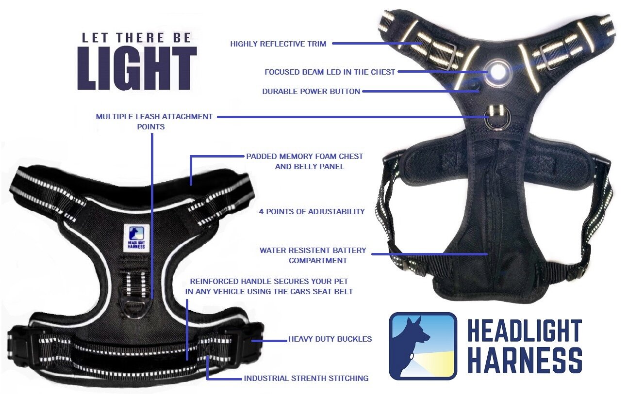 Headlight Harness Grey with Custom Embroidery
