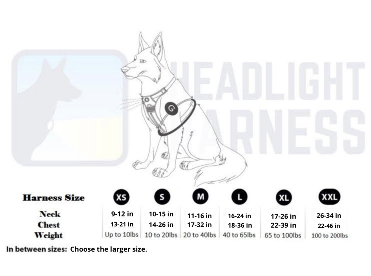 Headlight Harness for Therapy Dog