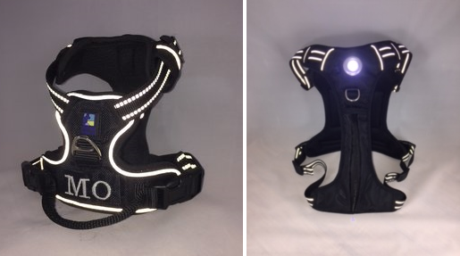 Headlight Harness with Custom Embroidery