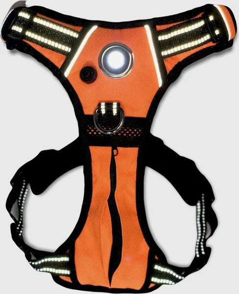 Headlight Harness, Dog/Cat LED  Dog Harness