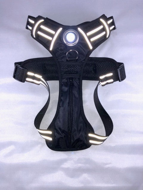 Headlight Harness for Therapy Dog