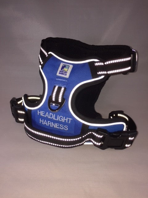 Headlight Harness Blue with Custom Embroidery
