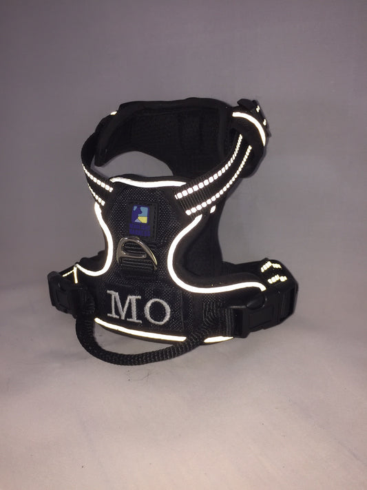 Headlight Harness with Custom Embroidery