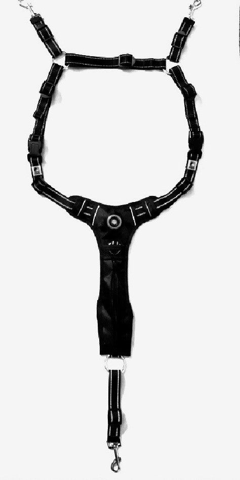 Headlight Harness for Horses