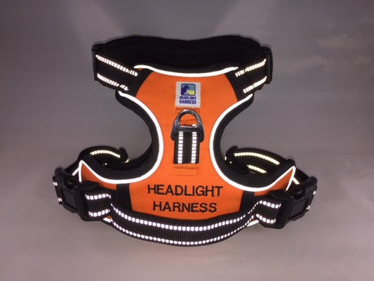 Headlight Harness Orange with Custom Embroidery