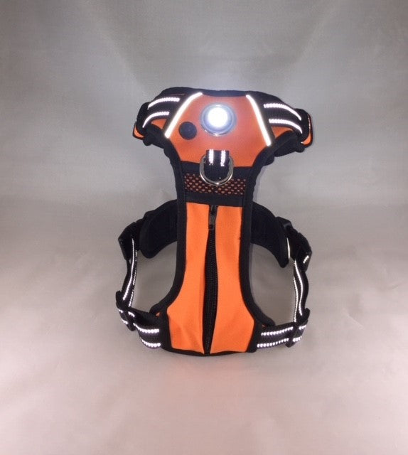 Headlight Harness Orange with Custom Embroidery