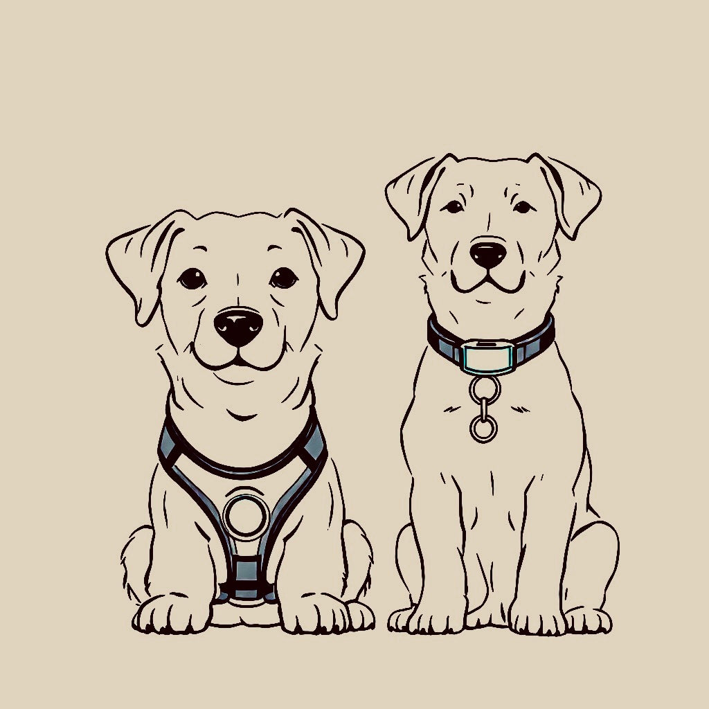 The Pros and Cons of using a Harness vs. Collar!