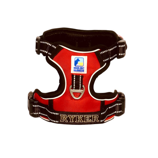 Headlight Harness Red with Custom Embroidery