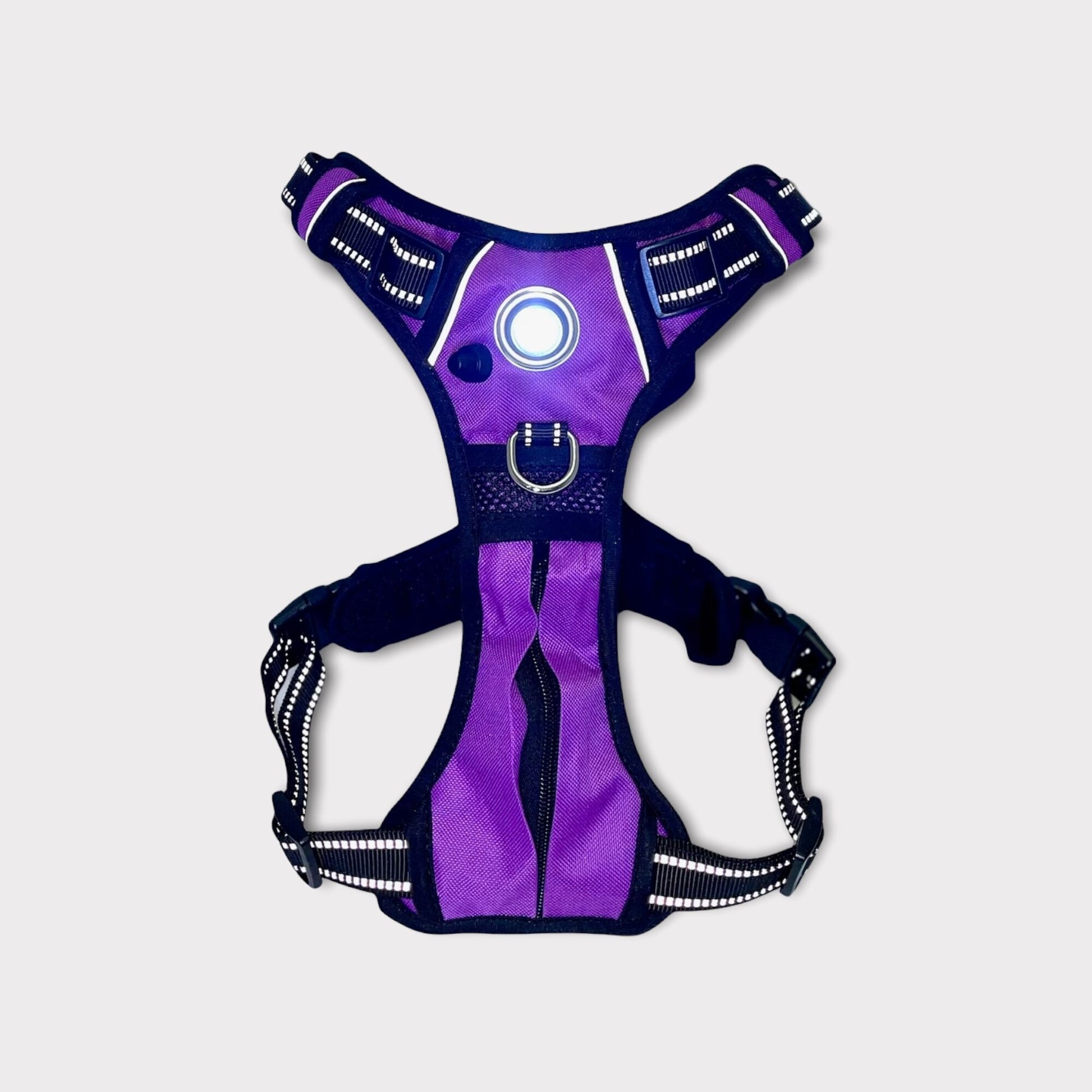 Headlight Harness Purple with Custom Embroidery