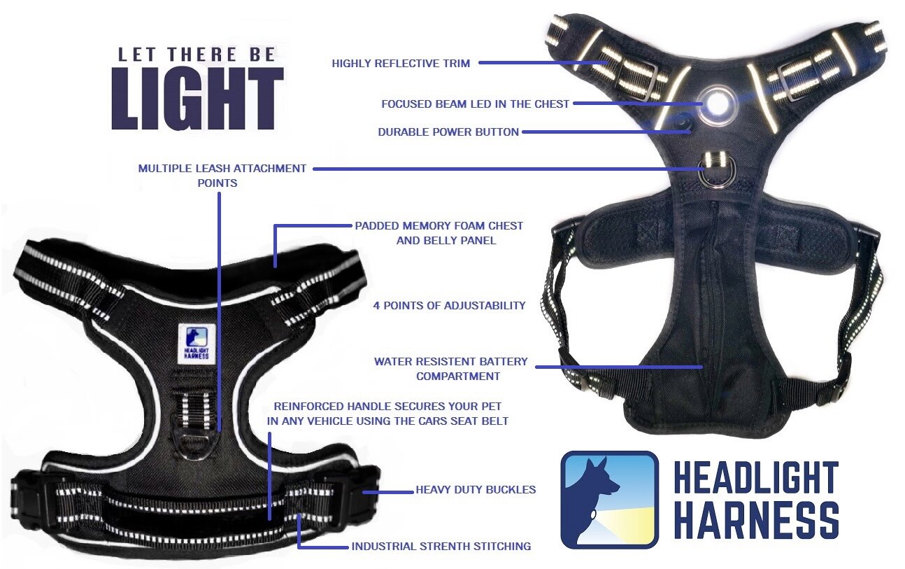 Headlight Harness for Service Dog