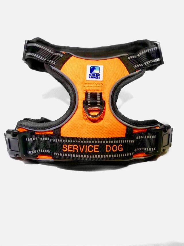 Headlight Harness for Service Dog