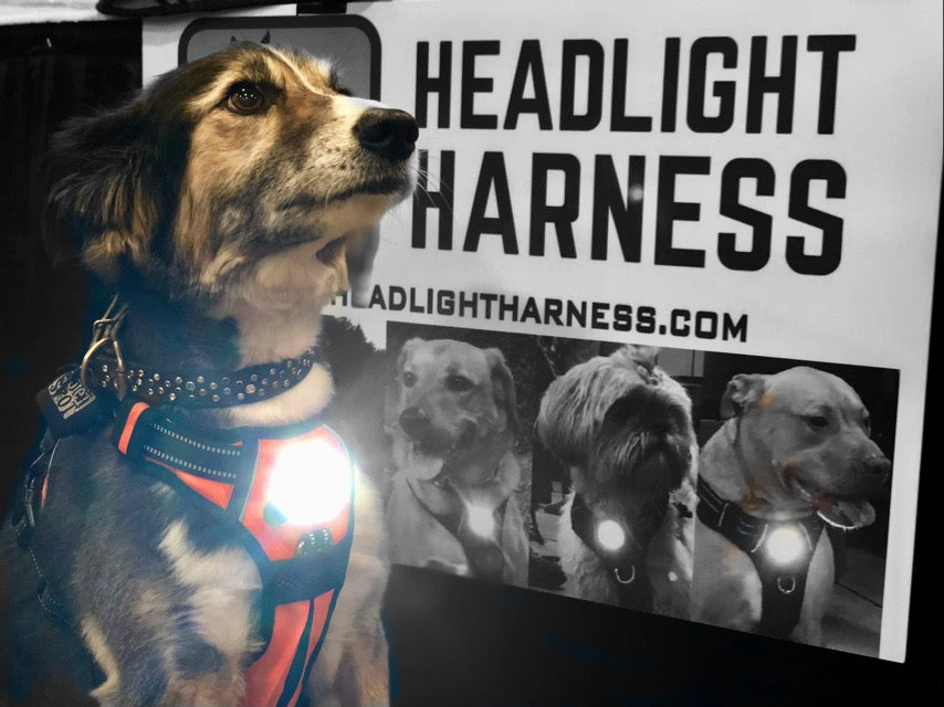 Headlight Harness