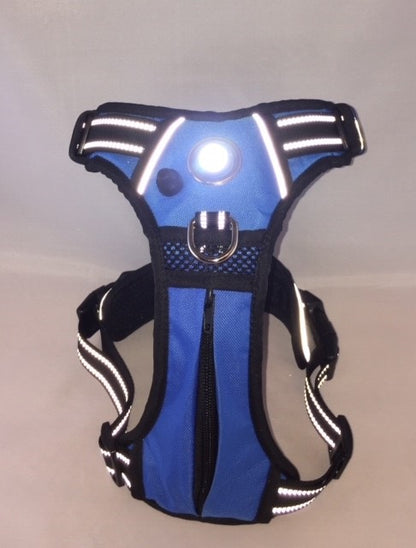 Headlight Harness Blue with Custom Embroidery