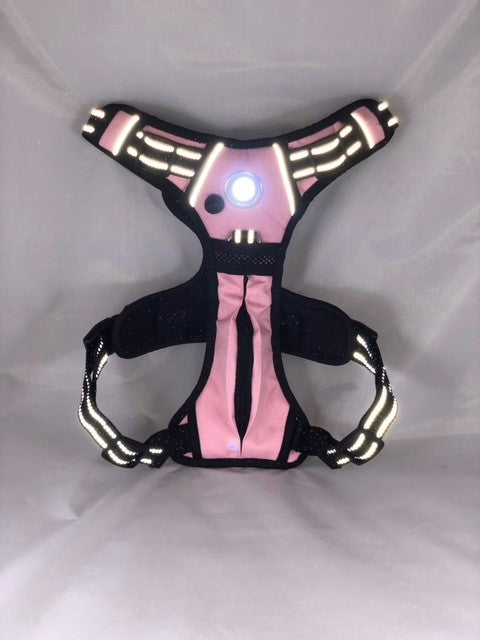 Headlight Harness Pink with Custom Embroidery