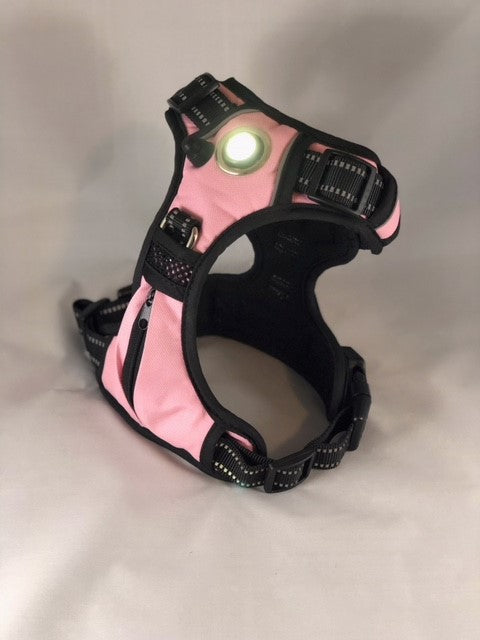 Headlight Harness Pink with Custom Embroidery